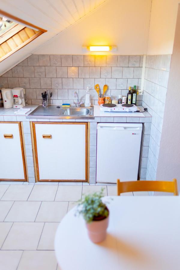 Studio Cocon Sous Les Toits De Jaures 贝尔福 外观 照片